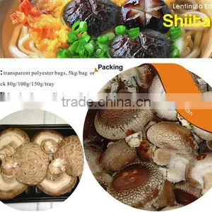 Dried Pleurotus Eryngii Mushroom Manufacturer in China thumbnail-5