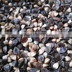 Good Performance Buckwheat Sheller thumbnail-6