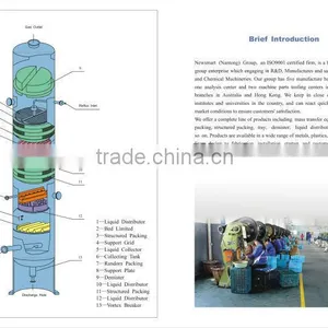 Metallic Ladder Ring Random Packings for Rectifying Columns thumbnail-6