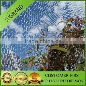 China White Monofilament Anti Bird Net From Factory Derict thumbnail-1