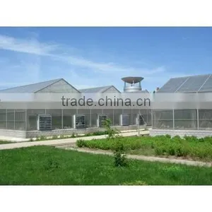 Greenhouse of Polycarbonate Sheet thumbnail-3