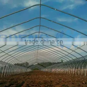 Tunnel Greenhouse for Agriculture thumbnail-1