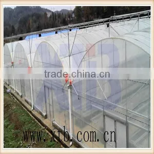 Tunnel Greenhouse thumbnail-1