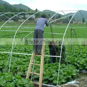 Multi Span PE Cover Film PE Greemhouse Film for Vegetable Greenhouse thumbnail-3