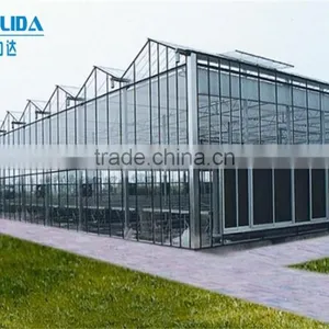 Multi-span Glass Tunnel Greenhouse thumbnail-2
