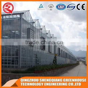 Factory Outlet Large Multi-span Glass Agricultural-commercial Greenhouses thumbnail-3