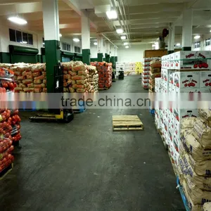 Farming Storage Warehouse With Tent From US Distributors thumbnail-2