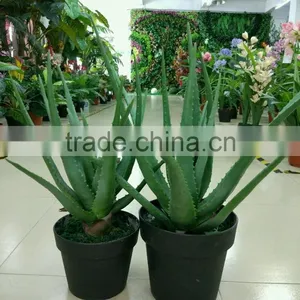 Landscaping Orgament Plant/Artificial Bonsai Plant/fake Aloe Vera Plant thumbnail-3