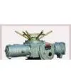 IP55 Rotary Electric Actuators for Flameproof 5 - 1200Nm, 12 - 36rpm thumbnail-1