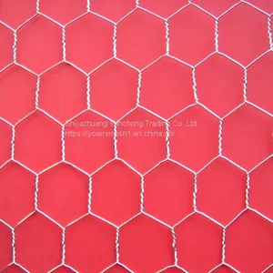 Hexagonal Wire Netting thumbnail-1