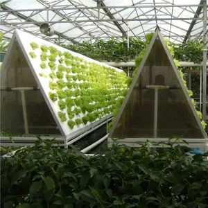 Hydroponic Glass Greenhouse for Lettuce/Tomato/Strawberry thumbnail-4