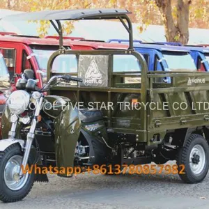 Gasoline Tricycle Cargo Loader Lovol Three Wheeler Mali Ethiopia Ghana Bukina Faso Tanzania Kenya Senegal Togo Benin Nigeira Mauritania Angola Burundi Chad Cameroon C ô te D'Ivoire Gabon Guinea Mozambique Rwanda Congo Uganda Zimbabwe thumbnail-2