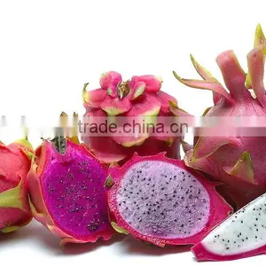 Good Price Fresh Dragon Fruit For Sale/ Pitaya Fruit thumbnail-1