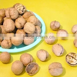 Walnut in Shell or Walnut Kernels in Bulk thumbnail-1
