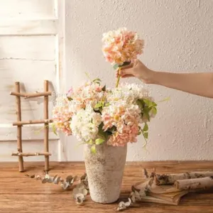 Decorative Plants thumbnail-1