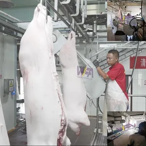 High Quality Pig Slaughter Line Carcass Splitting Saw For Abattoir Machine thumbnail-2