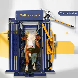 Livestock Equipment Hot Dipped Galvanized Steel Pipe Powder Coated Cattle Handling Crate Fencing & Trellis for Yard Crush thumbnail-1