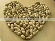 Shandong Roasted Peanut In Shell thumbnail-1