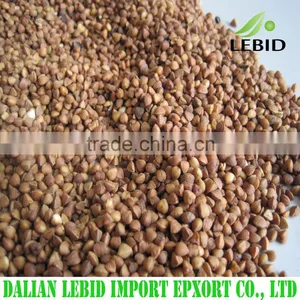 Chinese Bulk Dried Brown Color Wholesale Roasted Buckwheat thumbnail-2