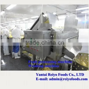 Impurity Removing and Cleaning Machine / Fruits and Vegetables Cleaning Machine thumbnail-3