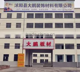 Shuyang Dapeng Decoration Materials Co., Ltd. company overview - view 1 thumbnail