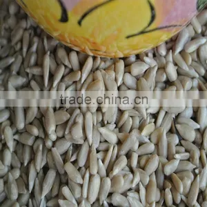 Sunflower Kernels Bakery Grade for Sale thumbnail-2