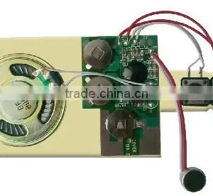 Pre-recordalbe Sound Chip/Recordable Sound Chip to Record Customer's Voice for Greeting Cards/toys thumbnail-1