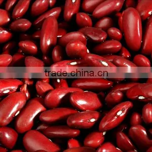 We Are Supply Kidney Beans, Dark Red Kidney Beans for Sale thumbnail-5