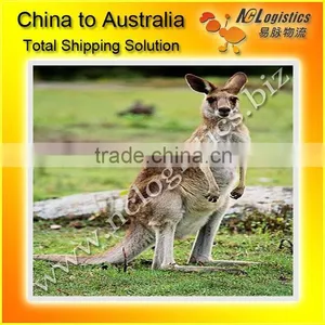 EXPORT SERVICE SHENZHEN TO SYDNEY -----kelly thumbnail-1