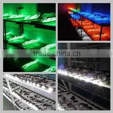 Nanjing Newsun Photoelectric Limited Company company overview - view 2 thumbnail