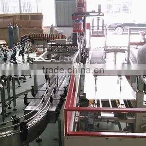 Case Packer/Case Packing Machine thumbnail-4