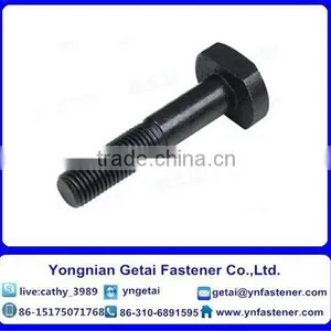 T Shape Bolts for Slot, DIN933/931 H.D.G / Galvanized With Black /yellow Zinc Plated/blue White thumbnail-2