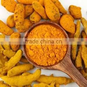 Bulp Turmeric Fingure in Indi thumbnail-3
