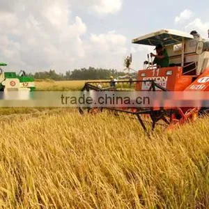 Vietnam Medium White Rice 5% Broken thumbnail-3