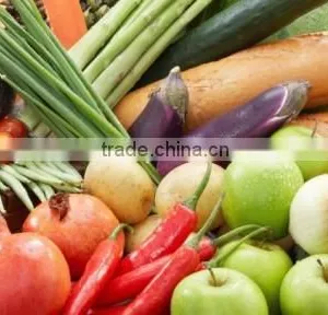 Fresh Vegetables Exporters thumbnail-1