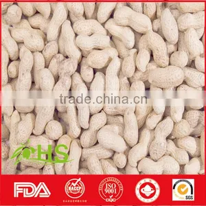 Fresh Red Skin Peanut Kernel on Hot Sale thumbnail-1
