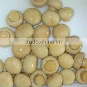 Newest Crop Canned Slice Mushroom thumbnail-1