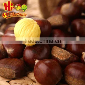 Wholesale IQF Chestnuts Bulk Frozen Chestnuts From China thumbnail-6