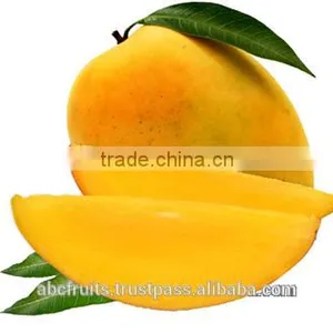 Supplier of Mango Pulp thumbnail-1