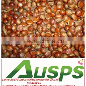2014 Crop Chinese Fresh Chestnut thumbnail-3