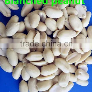 2015 New Crop Blanched Peanut Kernels From Shandong Peanuts Plant thumbnail-1
