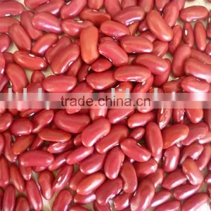 Organic Dark Red Kidney Beans thumbnail-1