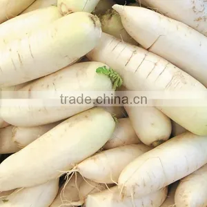 GL-380 Full Automatic Potato Vegetable and Fruit Washing and Peeling Machine thumbnail-3