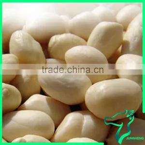 New Crop Blanched Peanut Kernels thumbnail-1