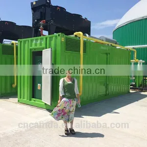 Incredible Low Price Biogas Generator Set From Manufacturer With CE Certificate thumbnail-1