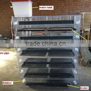 Wire Mesh Metal Quail Cage And Water System thumbnail-5