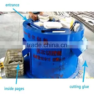 Neweek Electric Automatic 1ton Hourly Rotary Waste Paper Recycling Machine thumbnail-2