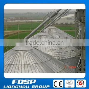Hot Sale Jiangsu Liangyou Steel Silo/Farm Silo With Large Capacity thumbnail-4