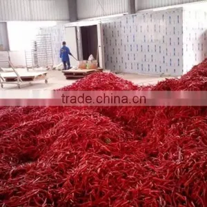 Commercial Vegetable Red Chilli Drying Machine thumbnail-4