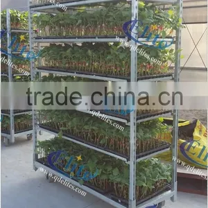53 Plywood Base For Flower Trolley ,Welding Mesh Base For Flower Trolley, Pot Plant Trolley Base thumbnail-4